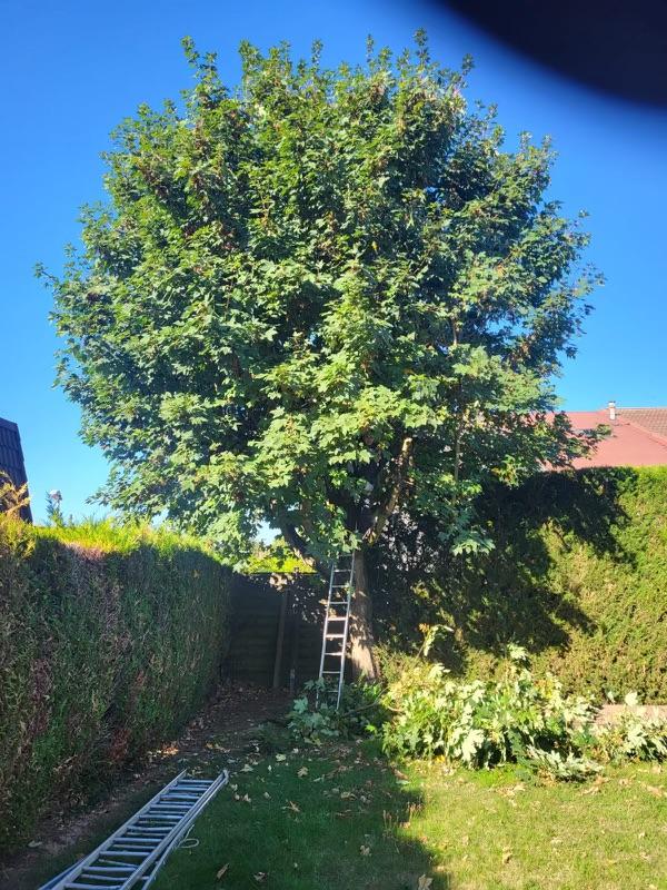 Photo 2023 09 07 10 16 37 4